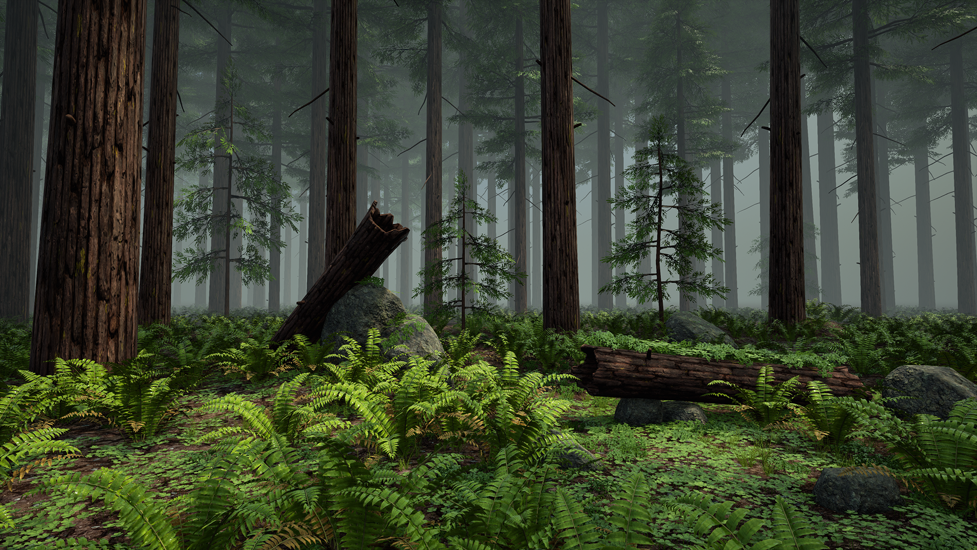 RedwoodForest_WIP_01.png