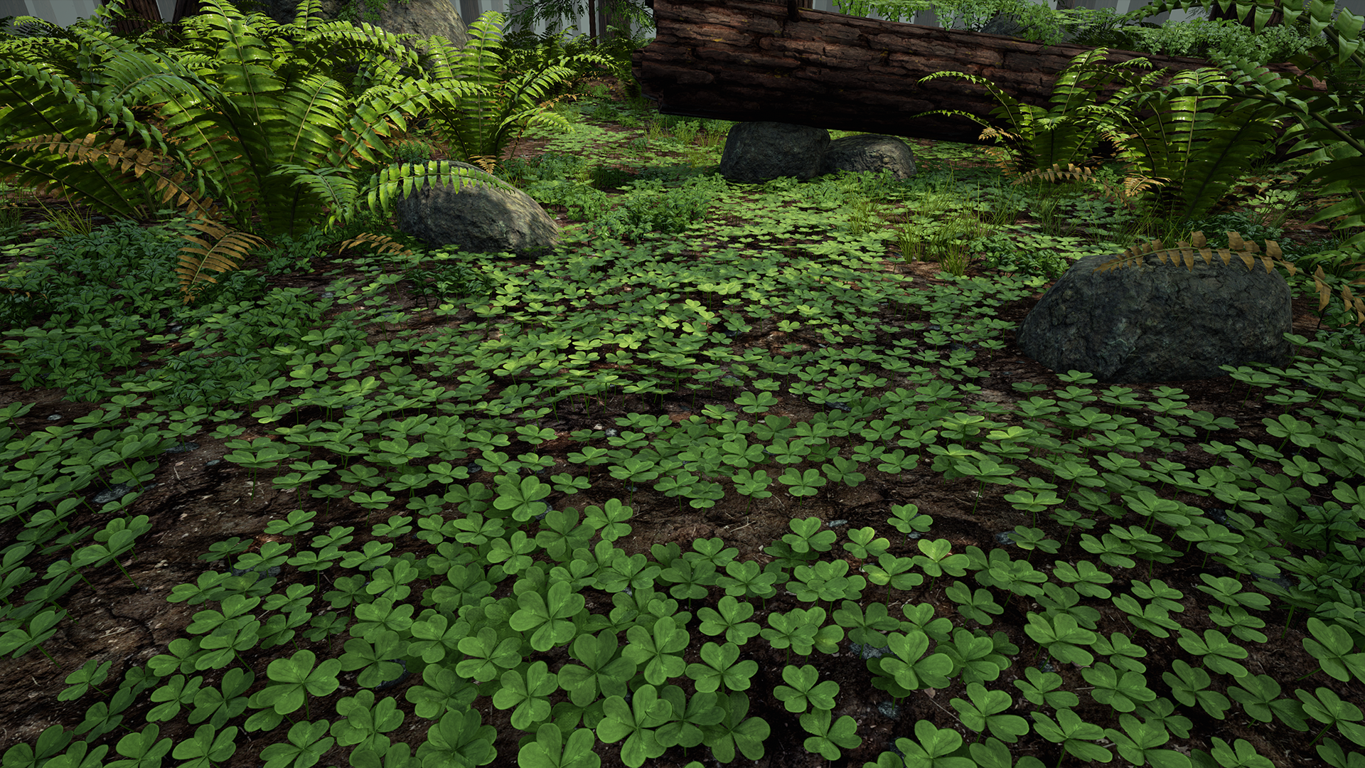 RedwoodForest_WIP_03.png