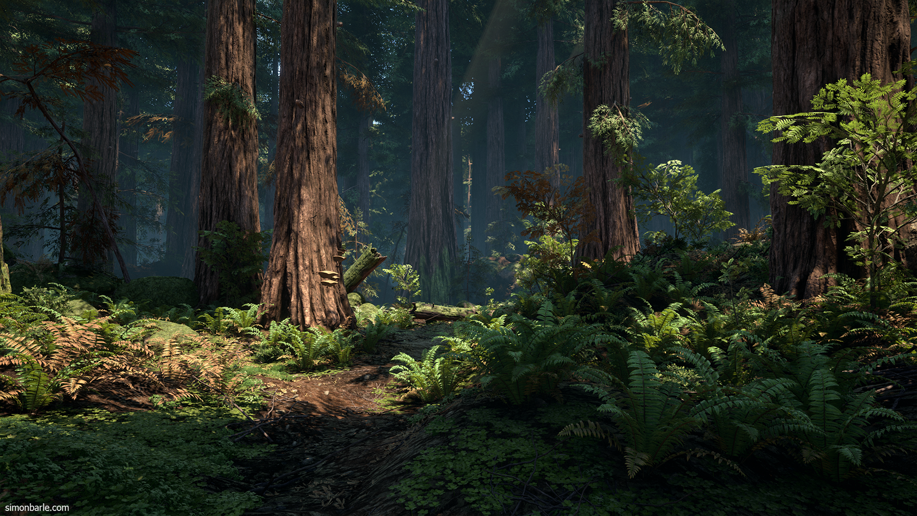 RedwoodForest_01.png