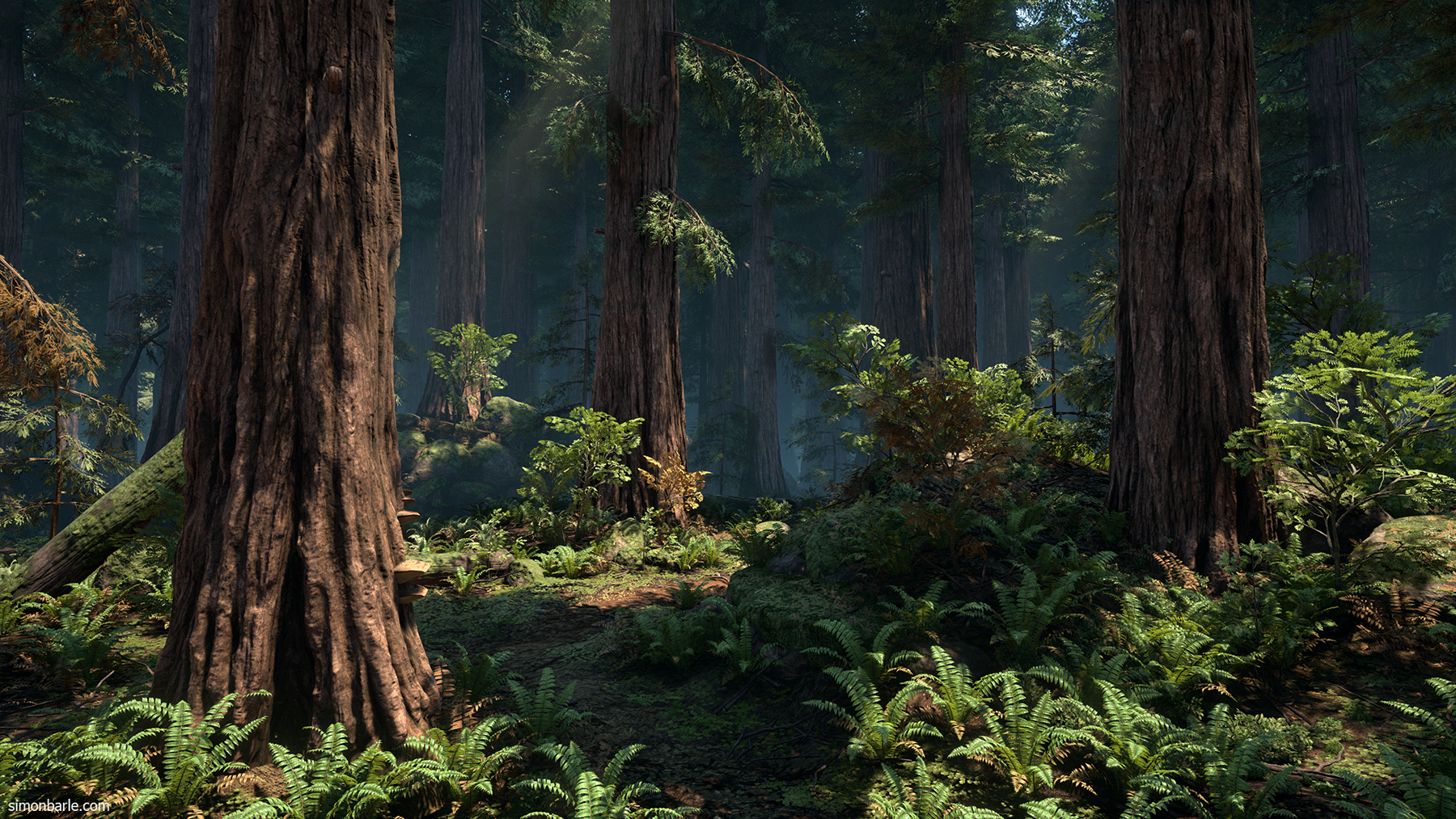 RedwoodForest_02.png