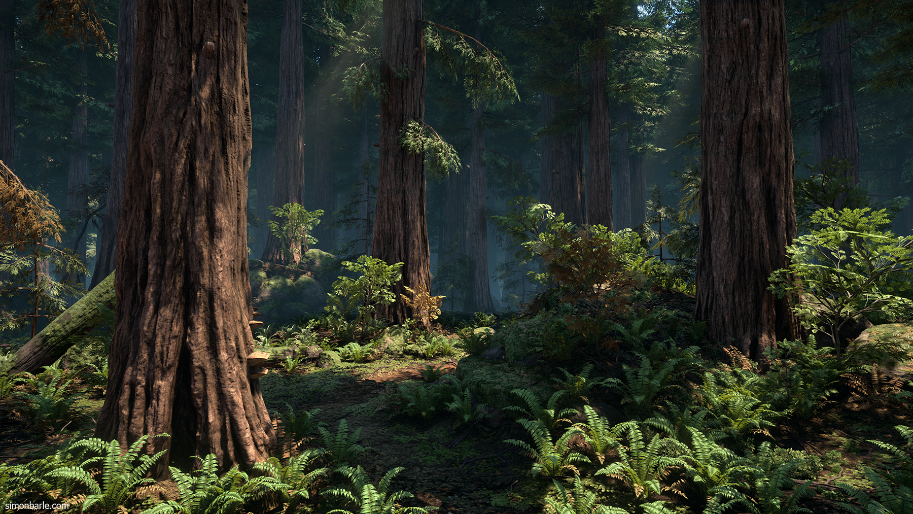 redwood forest ue4