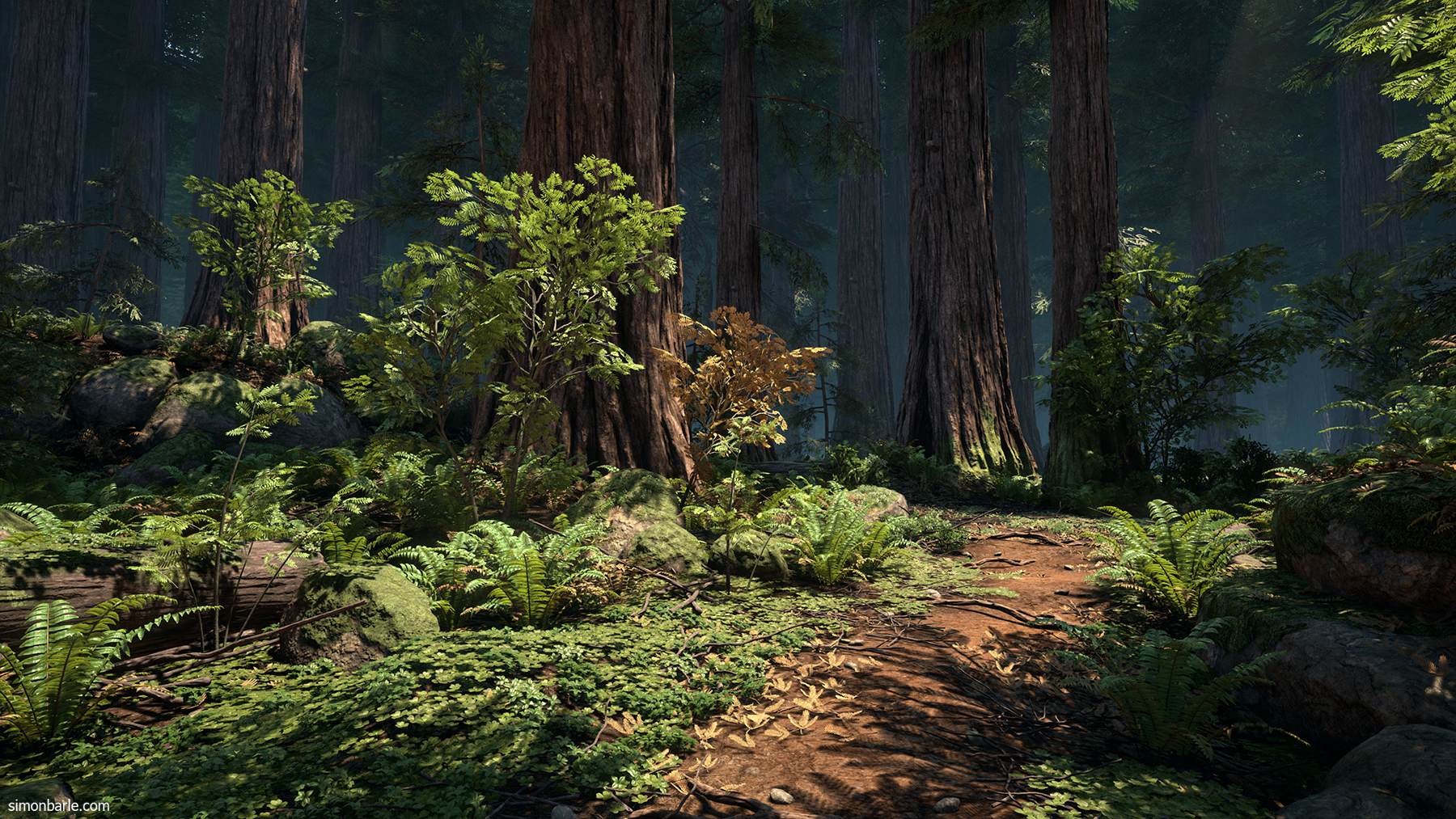RedwoodForest_05.png