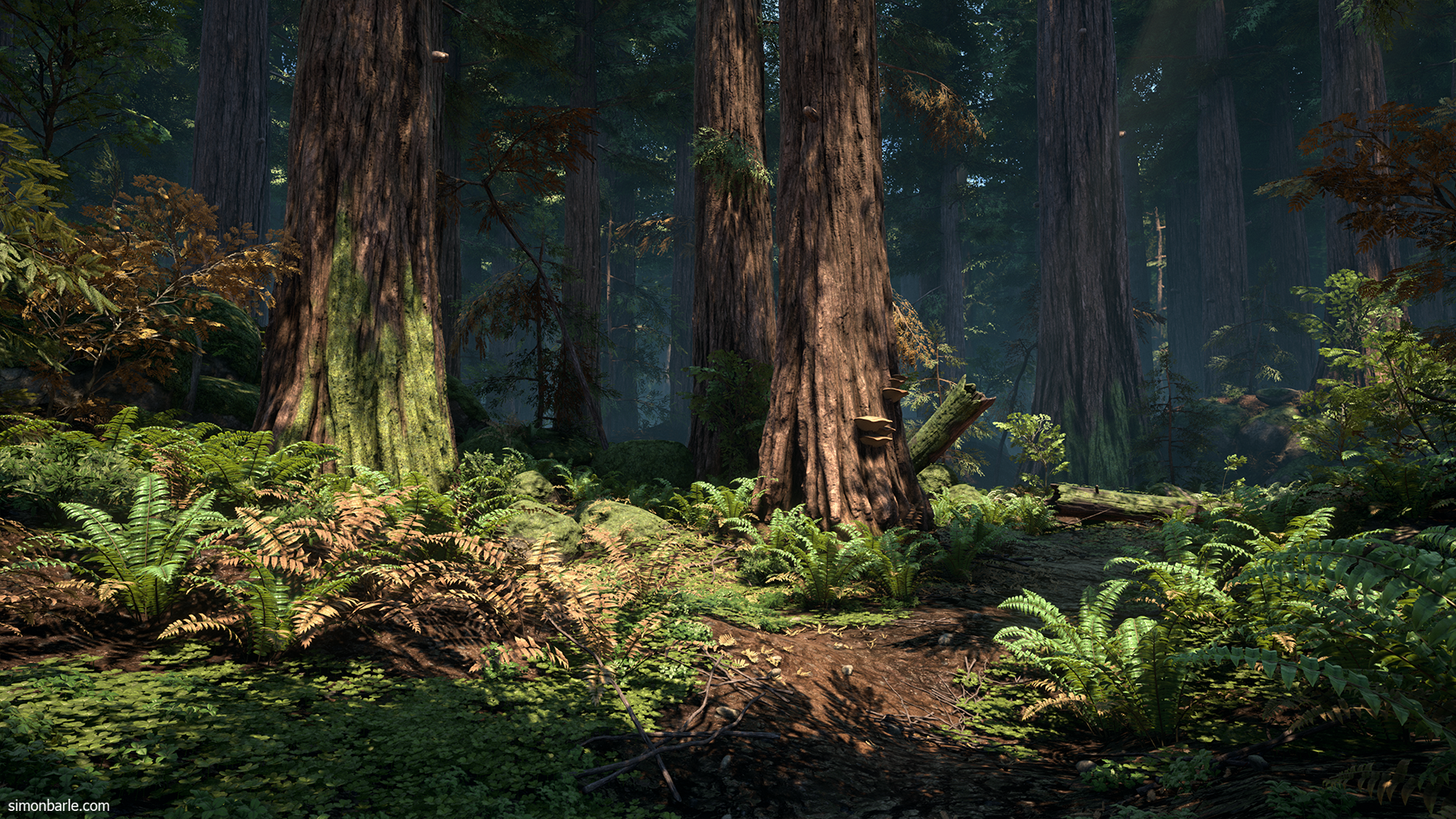 RedwoodForest_06.png